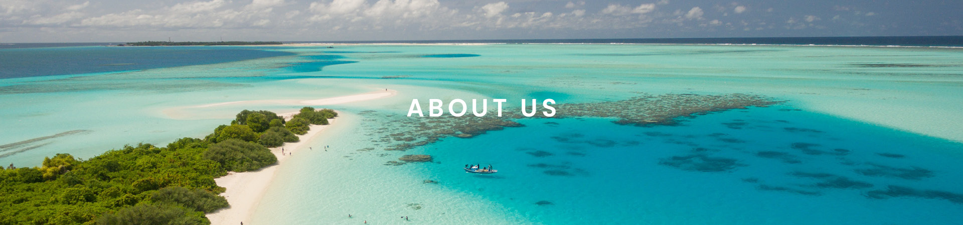 Panache Cruises