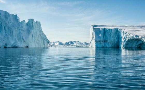 Kayak and Zodiac Tours