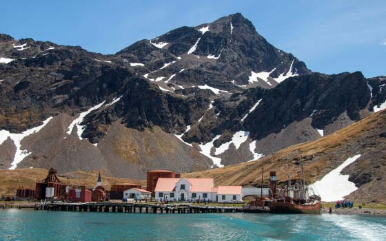 Grytviken History