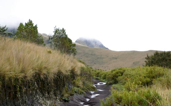 Hiking and Trekking