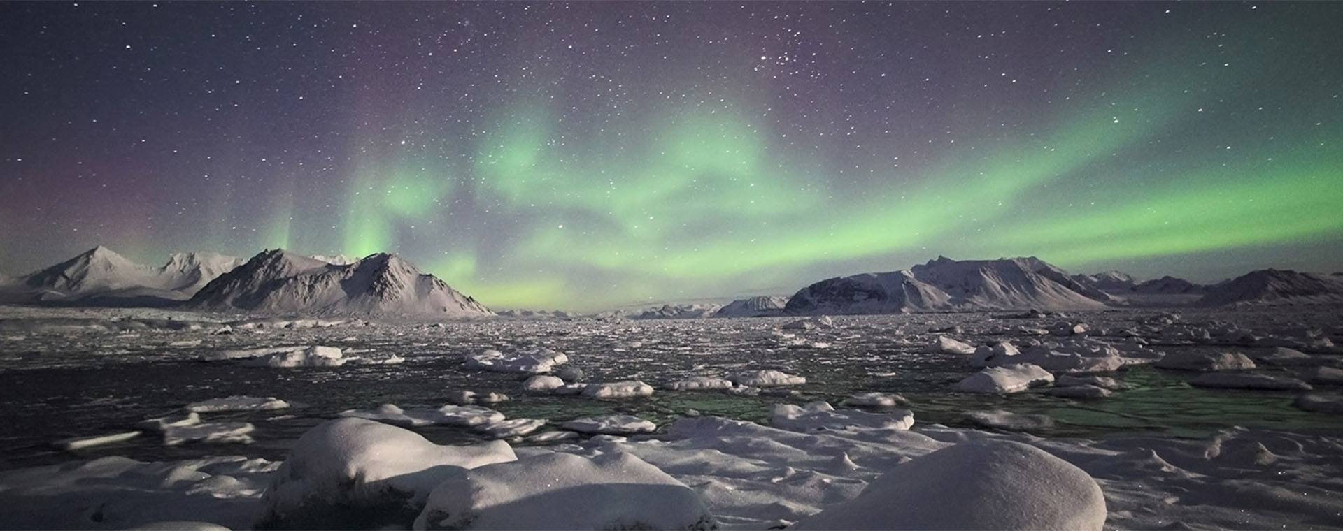 Arctic Expedtitions