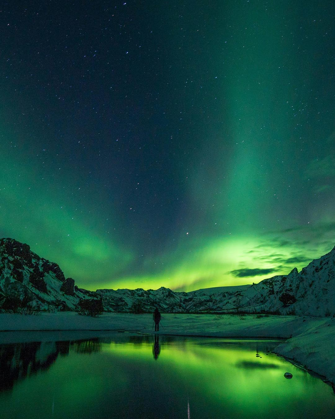 Arctic
