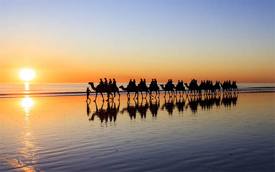 Broome