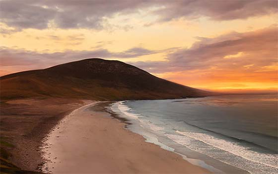 The Falkland Islands