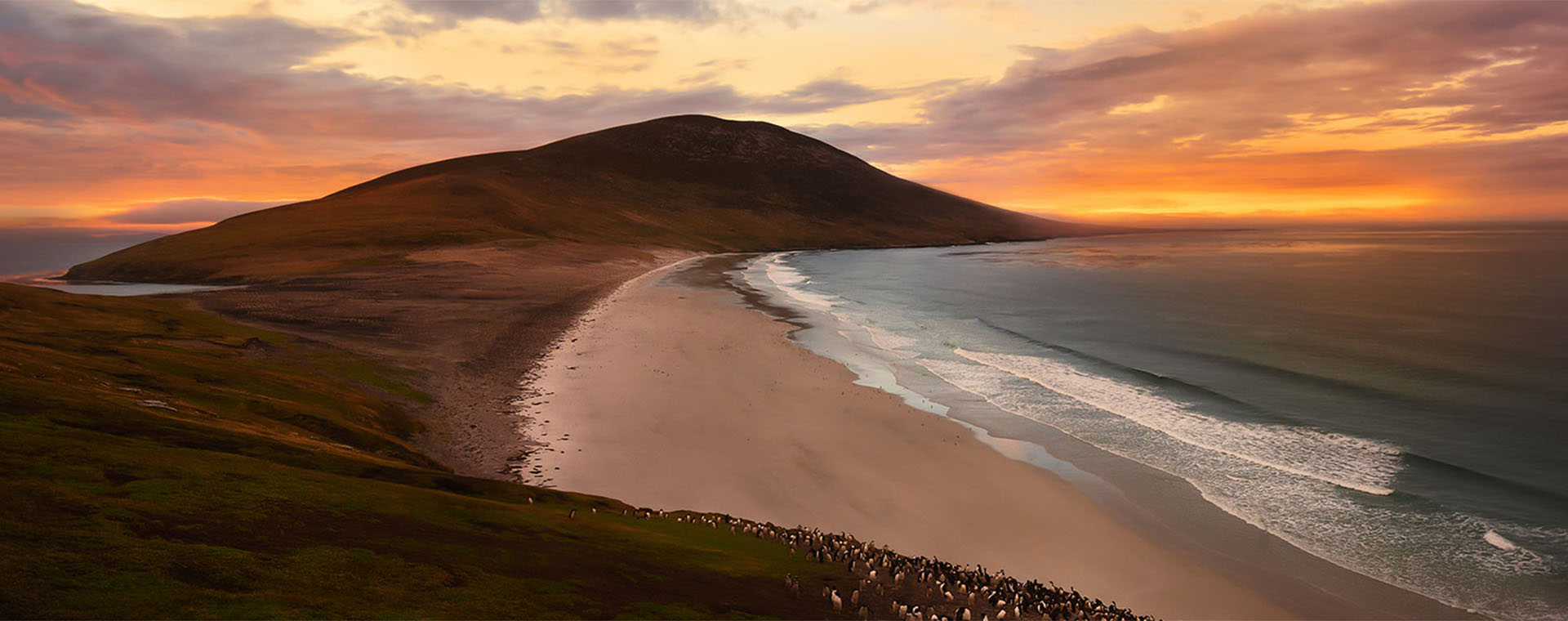 Falkland Islands 