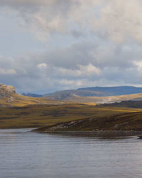 Falkland Islands