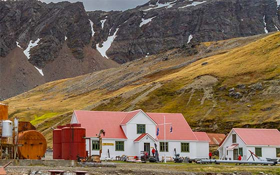 Grytviken