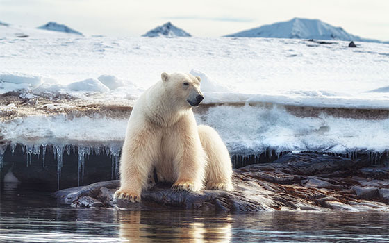 Svalbard Archipelago