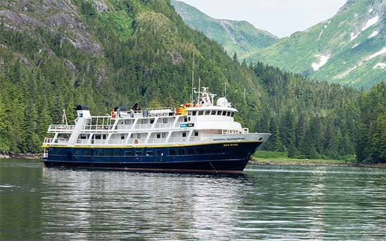 National Geographic Sea Bird